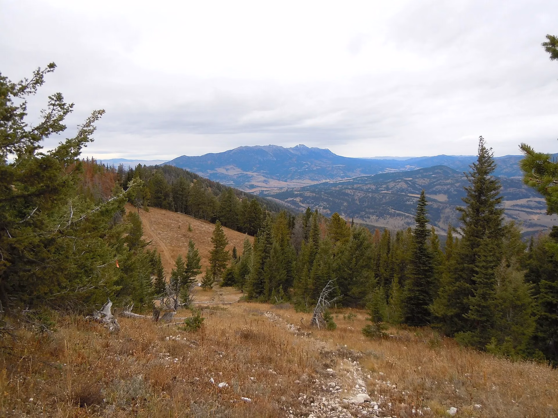 Strategies for Collecting Rent On Time: A Guide for Bozeman, MT